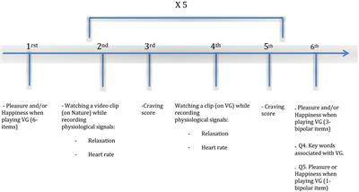 Video Game Addiction and Emotional States: Possible Confusion Between Pleasure and Happiness?